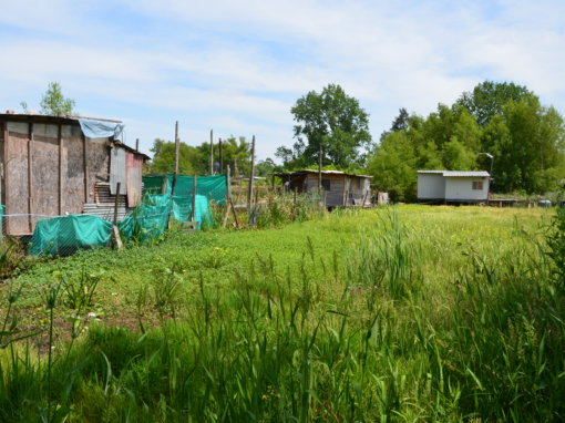 Élaboration participative d’un système de traitement écologique des eaux usées